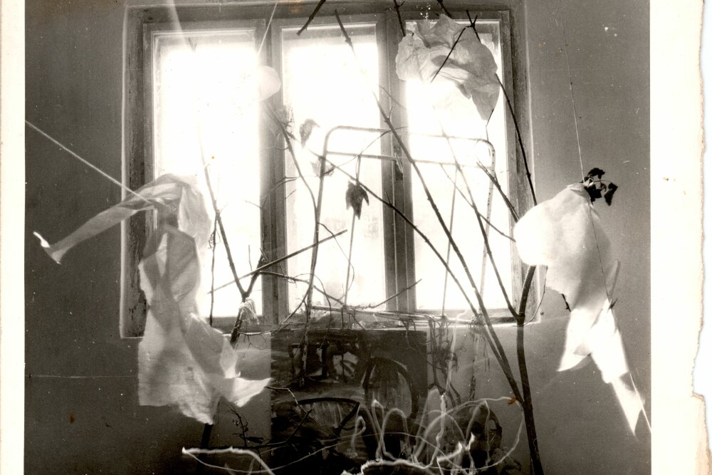 Rostislav Čuřík: (Fotografie)
